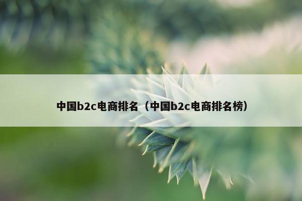 中国b2c电商排名（中国b2c电商排名榜）