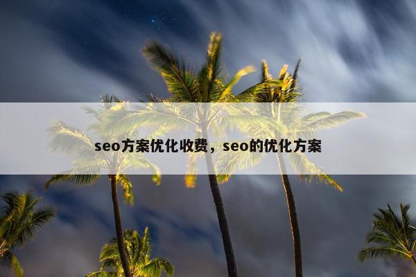 seo方案优化收费，seo的优化方案