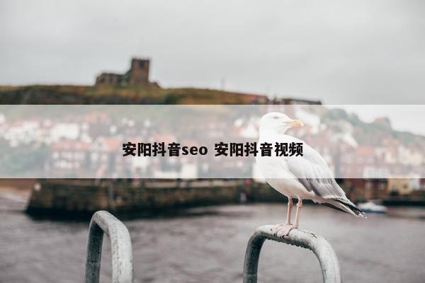 安阳抖音seo 安阳抖音视屏