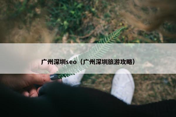 广州深圳seo（广州深圳旅游攻略）