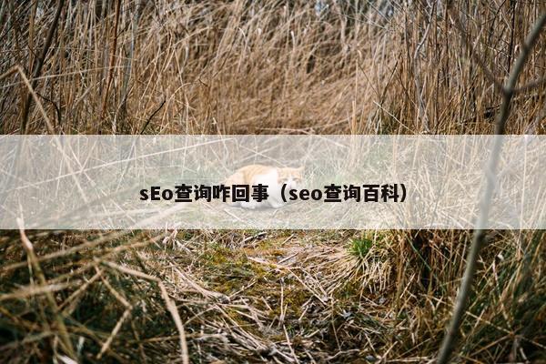 sEo查询咋回事（seo查询百科）