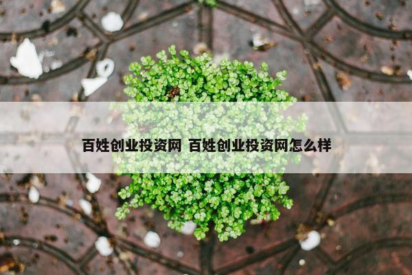 百姓创业投资网 百姓创业投资网怎么样