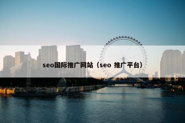 seo国际推广网站（seo 推广平台）