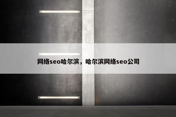 网络seo哈尔滨，哈尔滨网络seo公司