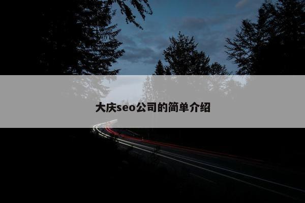 大庆seo公司的简单介绍