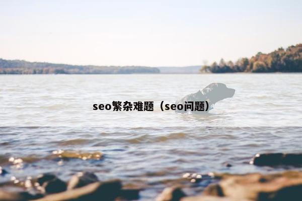 seo繁杂难题（seo问题）