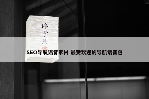 SEO导航语音素材 最受欢迎的导航语音包