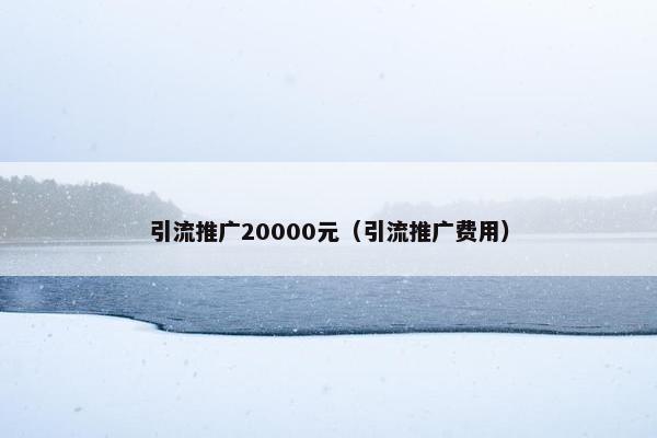 引流推广20000元（引流推广费用）