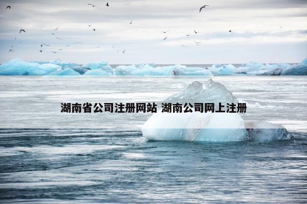 湖南省公司注册网站 湖南公司网上注册