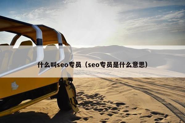 什么叫seo专员（seo专员是什么意思）