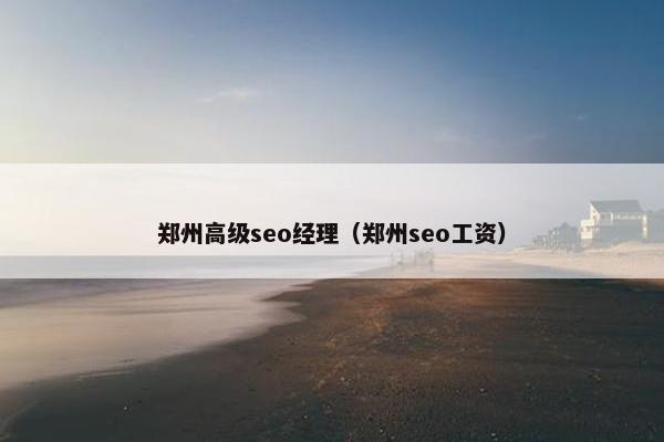 郑州高级seo经理（郑州seo工资）