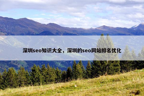 深圳seo知识大全，深圳的seo网站排名优化