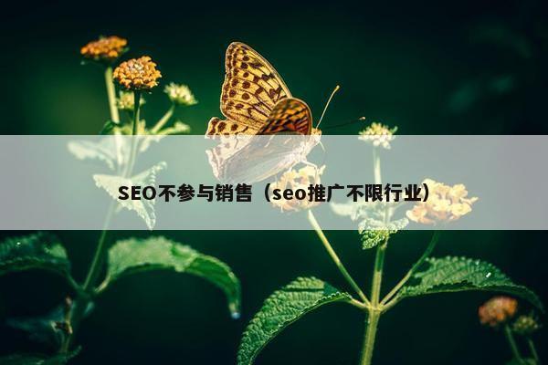 SEO不参与销售（seo推广不限行业）