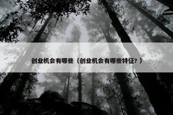 创业机会有哪些（创业机会有哪些特征? ）