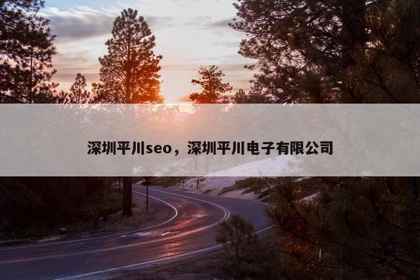 深圳平川seo，深圳平川电子有限公司