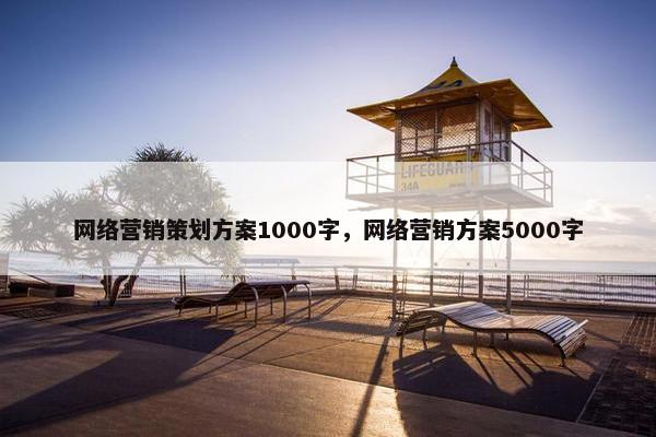 网络营销策划方案1000字，网络营销方案5000字