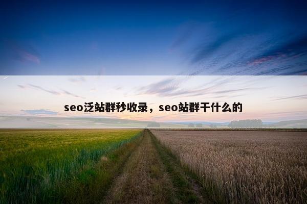 seo泛站群秒收录，seo站群干什么的