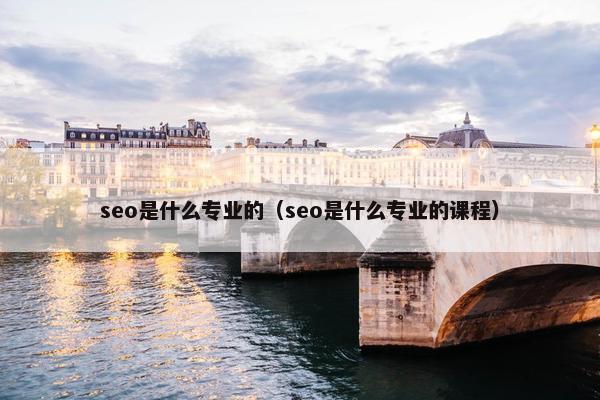 seo是什么专业的（seo是什么专业的课程）