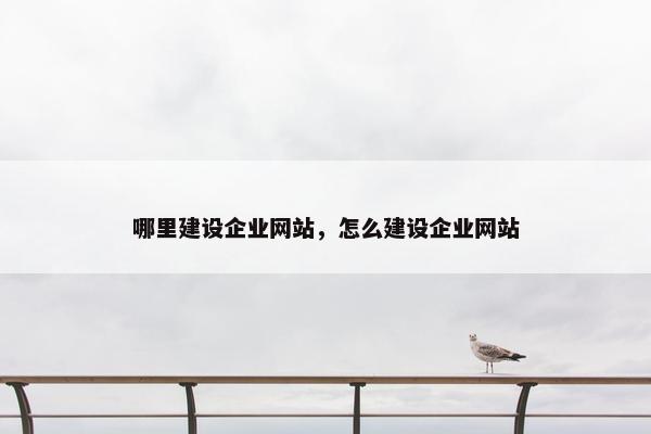 哪里建设企业网站，怎么建设企业网站