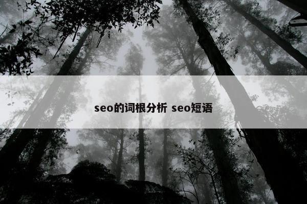 seo的词根分析 seo短语