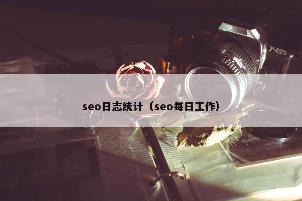 seo日志统计（seo每日工作）