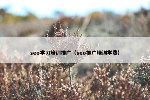 seo学习培训推广（seo推广培训学费）