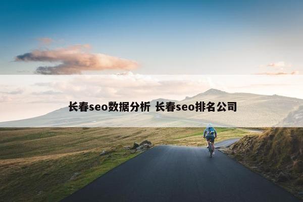 长春seo数据分析 长春seo排名公司