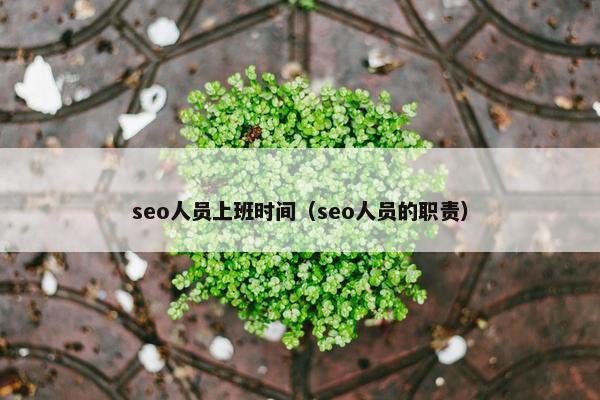 seo人员上班时间（seo人员的职责）