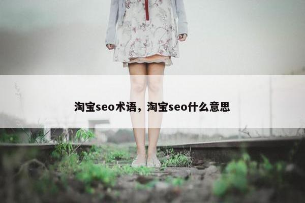 淘宝seo术语，淘宝seo什么意思