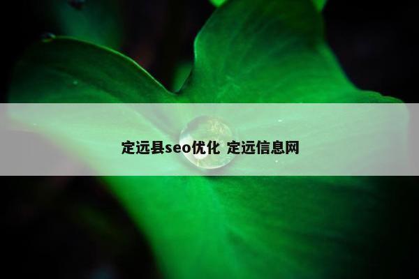 定远县seo优化 定远信息网