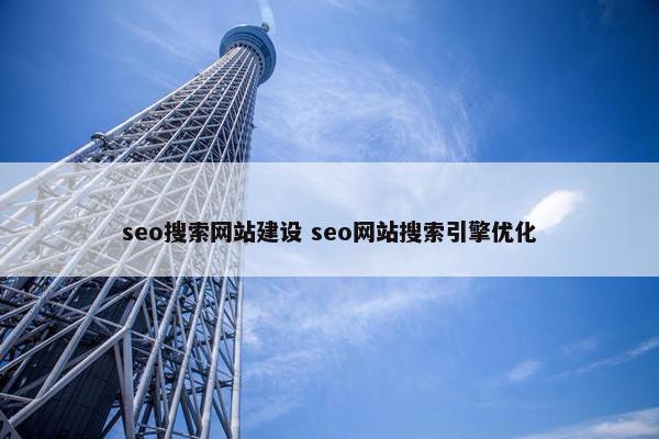 seo搜索网站建设 seo网站搜索引擎优化