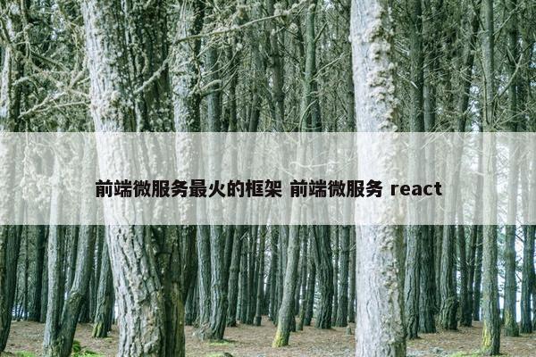 前端微服务最火的框架 前端微服务 react