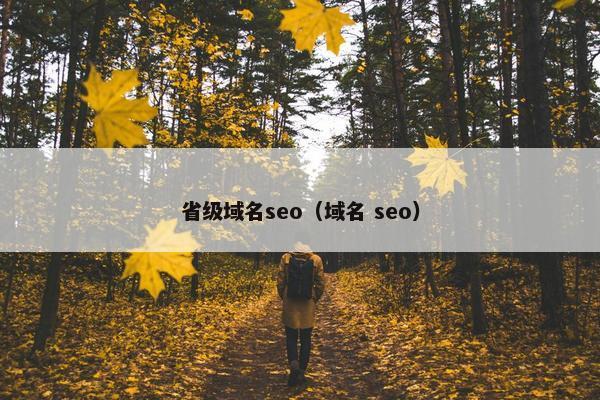 省级域名seo（域名 seo）