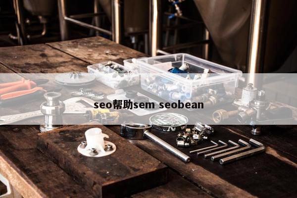 seo帮助sem seobean