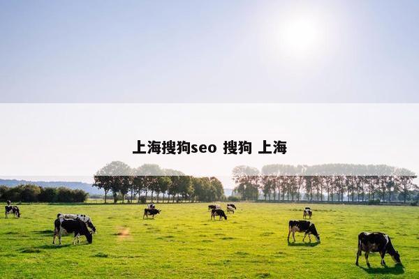 上海搜狗seo 搜狗 上海