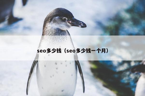 seo多少钱（seo多少钱一个月）