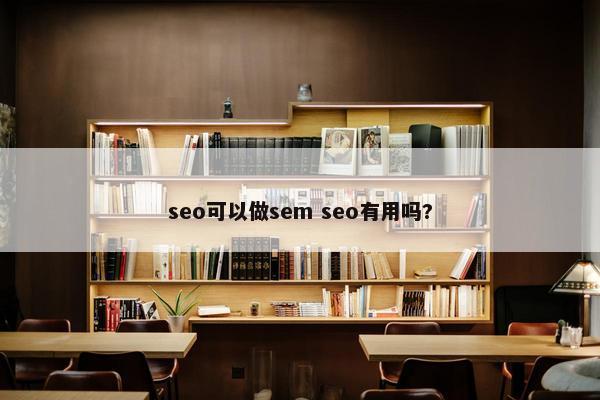 seo可以做sem seo有用吗?