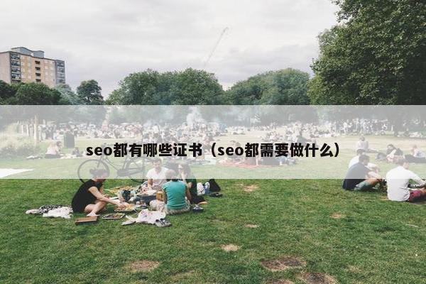 seo都有哪些证书（seo都需要做什么）