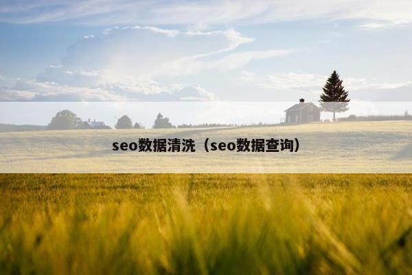 seo数据清洗（seo数据查询）