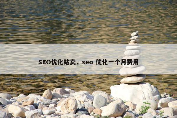 SEO优化站卖，seo 优化一个月费用