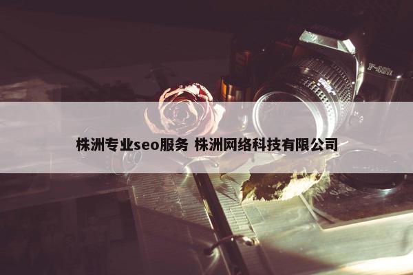 株洲专业seo服务 株洲网络科技有限公司