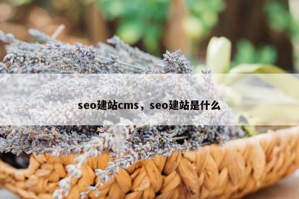 seo建站cms，seo建站是什么