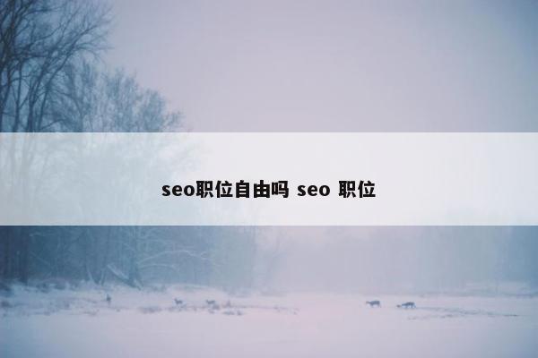 seo职位自由吗 seo 职位