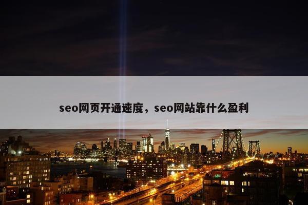 seo网页开通速度，seo网站靠什么盈利