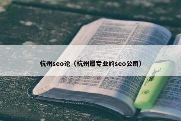 杭州seo论（杭州最专业的seo公司）