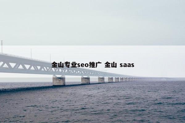 金山专业seo推广 金山 saas