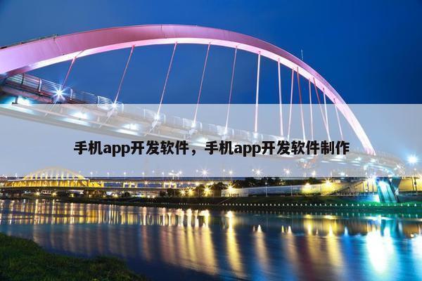 手机app开发软件，手机app开发软件制作