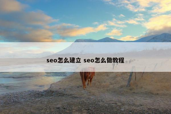 seo怎么建立 seo怎么做教程