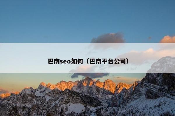 巴南seo如何（巴南平台公司）