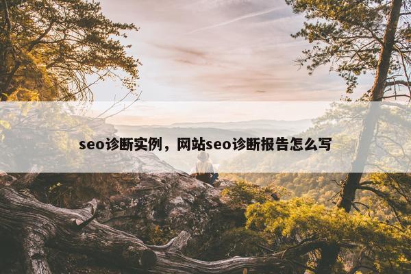 seo诊断实例，网站seo诊断报告怎么写